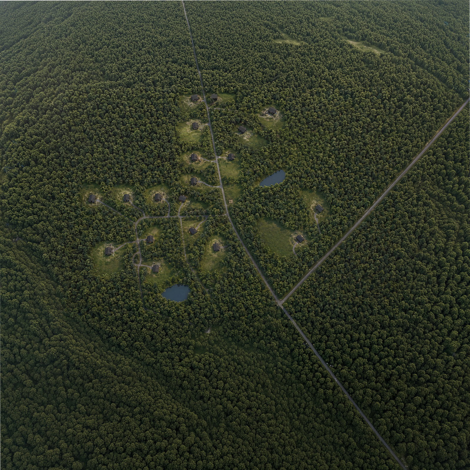 Aerial view of the Rustic Pines lots and the surrounding forest