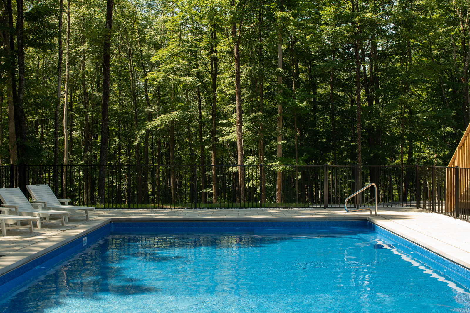 Heated pool with bluestone surround at the edge of the forest
